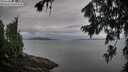 ./images/koeye/fitz-hugh/20260730/fitz-hugh20260730_074001M.jpg