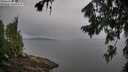 ./images/koeye/fitz-hugh/20260730/fitz-hugh20260730_085001M.jpg
