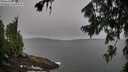 ./images/koeye/fitz-hugh/20260730/fitz-hugh20260730_091501M.jpg