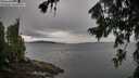 ./images/koeye/fitz-hugh/20260730/fitz-hugh20260730_094001M.jpg