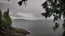 ./images/koeye/fitz-hugh/20260730/fitz-hugh20260730_095001M.jpg