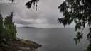 ./images/koeye/fitz-hugh/20260730/fitz-hugh20260730_095501M.jpg