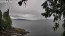 ./images/koeye/fitz-hugh/20260730/fitz-hugh20260730_101502M.jpg