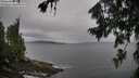 ./images/koeye/fitz-hugh/20260730/fitz-hugh20260730_102001M.jpg