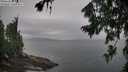 ./images/koeye/fitz-hugh/20260730/fitz-hugh20260730_103002M.jpg