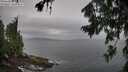 ./images/koeye/fitz-hugh/20260730/fitz-hugh20260730_103501M.jpg