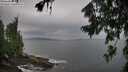 ./images/koeye/fitz-hugh/20260730/fitz-hugh20260730_104001M.jpg