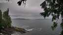 ./images/koeye/fitz-hugh/20260730/fitz-hugh20260730_105002M.jpg