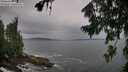 ./images/koeye/fitz-hugh/20260730/fitz-hugh20260730_110002M.jpg