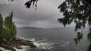 ./images/koeye/fitz-hugh/20260730/fitz-hugh20260730_111001M.jpg