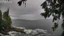 ./images/koeye/fitz-hugh/20260730/fitz-hugh20260730_113002M.jpg