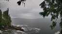 ./images/koeye/fitz-hugh/20260730/fitz-hugh20260730_115501M.jpg