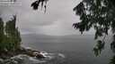 ./images/koeye/fitz-hugh/20260730/fitz-hugh20260730_120502M.jpg