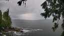 ./images/koeye/fitz-hugh/20260730/fitz-hugh20260730_121501M.jpg