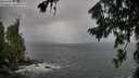 ./images/koeye/fitz-hugh/20260730/fitz-hugh20260730_130001M.jpg