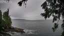 ./images/koeye/fitz-hugh/20260730/fitz-hugh20260730_190501M.jpg