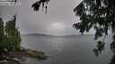 ./images/koeye/fitz-hugh/20260730/fitz-hugh20260730_193501M.jpg