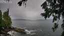 ./images/koeye/fitz-hugh/20260730/fitz-hugh20260730_194001M.jpg