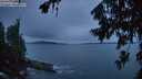 ./images/koeye/fitz-hugh/20260730/fitz-hugh20260730_214502M.jpg