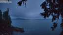./images/koeye/fitz-hugh/20260730/fitz-hugh20260730_215001M.jpg