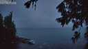 ./images/koeye/fitz-hugh/20260731/fitz-hugh20260731_052002M.jpg