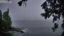 ./images/koeye/fitz-hugh/20260731/fitz-hugh20260731_053501M.jpg