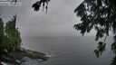 ./images/koeye/fitz-hugh/20260731/fitz-hugh20260731_062502M.jpg