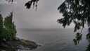 ./images/koeye/fitz-hugh/20260731/fitz-hugh20260731_070002M.jpg