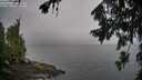 ./images/koeye/fitz-hugh/20260731/fitz-hugh20260731_073501M.jpg