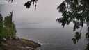 ./images/koeye/fitz-hugh/20260731/fitz-hugh20260731_090501M.jpg