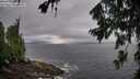 ./images/koeye/fitz-hugh/20260731/fitz-hugh20260731_094501M.jpg