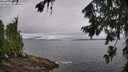 ./images/koeye/fitz-hugh/20260731/fitz-hugh20260731_100001M.jpg