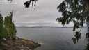 ./images/koeye/fitz-hugh/20260731/fitz-hugh20260731_102001M.jpg