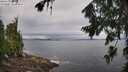 ./images/koeye/fitz-hugh/20260731/fitz-hugh20260731_102502M.jpg