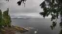 ./images/koeye/fitz-hugh/20260731/fitz-hugh20260731_104502M.jpg
