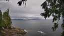 ./images/koeye/fitz-hugh/20260731/fitz-hugh20260731_105002M.jpg