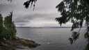 ./images/koeye/fitz-hugh/20260731/fitz-hugh20260731_110501M.jpg