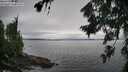 ./images/koeye/fitz-hugh/20260731/fitz-hugh20260731_111001M.jpg