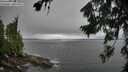 ./images/koeye/fitz-hugh/20260731/fitz-hugh20260731_112501M.jpg