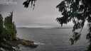 ./images/koeye/fitz-hugh/20260731/fitz-hugh20260731_113501M.jpg