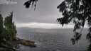 ./images/koeye/fitz-hugh/20260731/fitz-hugh20260731_115501M.jpg