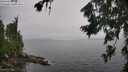 ./images/koeye/fitz-hugh/20260731/fitz-hugh20260731_123501M.jpg