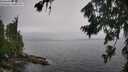 ./images/koeye/fitz-hugh/20260731/fitz-hugh20260731_124001M.jpg