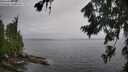 ./images/koeye/fitz-hugh/20260731/fitz-hugh20260731_124501M.jpg