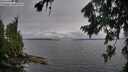 ./images/koeye/fitz-hugh/20260731/fitz-hugh20260731_130002M.jpg