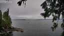 ./images/koeye/fitz-hugh/20260731/fitz-hugh20260731_131002M.jpg