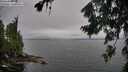 ./images/koeye/fitz-hugh/20260731/fitz-hugh20260731_131501M.jpg