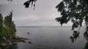 ./images/koeye/fitz-hugh/20260731/fitz-hugh20260731_133501M.jpg
