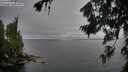 ./images/koeye/fitz-hugh/20260731/fitz-hugh20260731_134501M.jpg