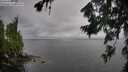 ./images/koeye/fitz-hugh/20260731/fitz-hugh20260731_135501M.jpg